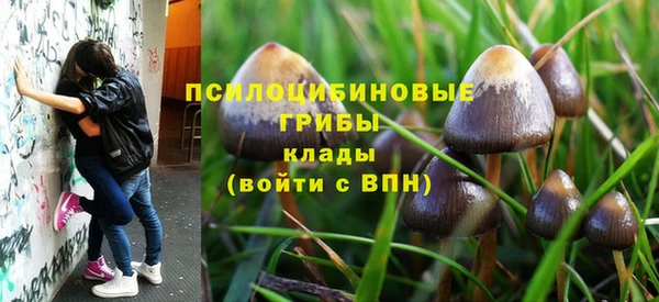 бошки Каменск-Шахтинский