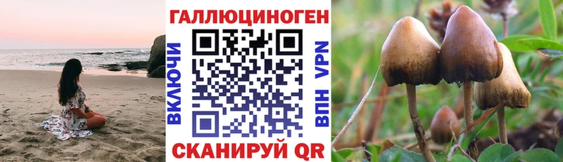 Псилоцибиновые грибы прущие грибы  Купить закладки  Вятские Поляны 